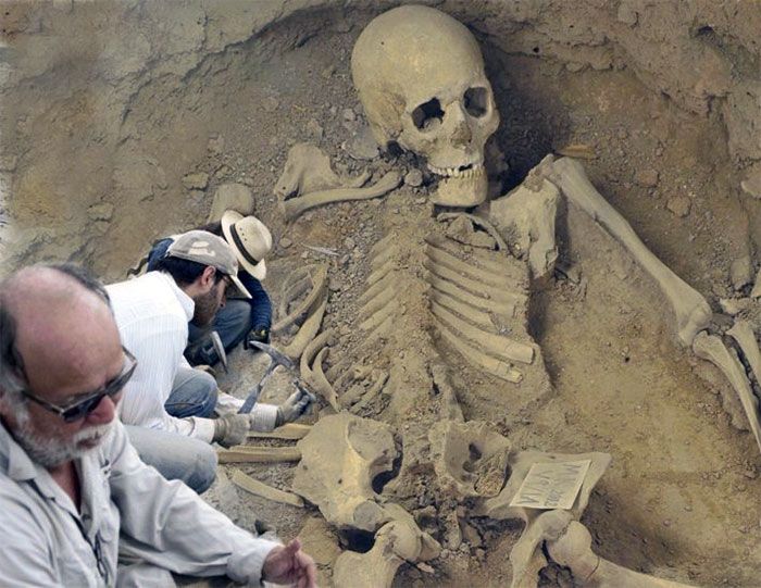 A picture of workers digging out a giant skeleton