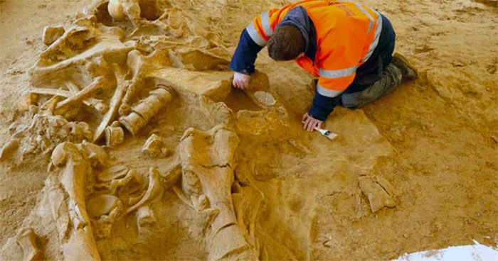 Person unearthing a giant skeleton