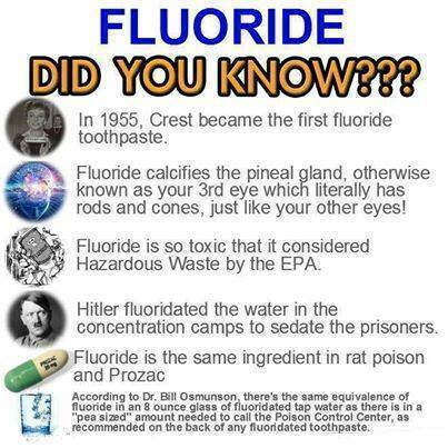 Did you know Fluoride fact sheet.