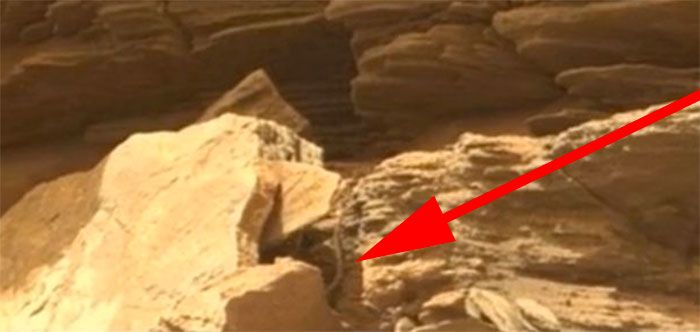 The snake or serpent found on Mars.