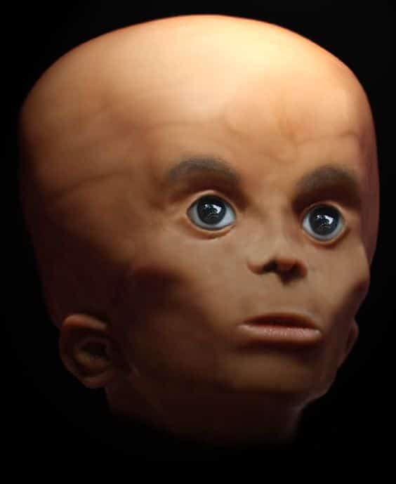 Artist’s impressions of the Starchild’s appearance in life.