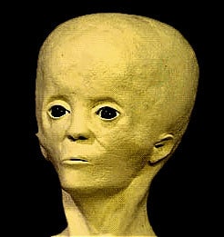Artist’s impressions of the Starchild’s appearance in life.