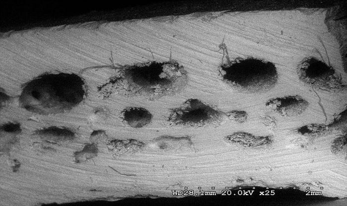 Electron microscope image of Starchild cranial bone showing strange fibres.