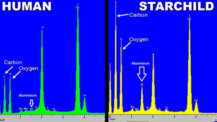 Chemical elements detected in the two skulls by spectrometric testing.