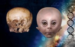 The Starchild Skull with artists impression of how it may have looked in life.
