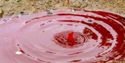 Blood red rain.