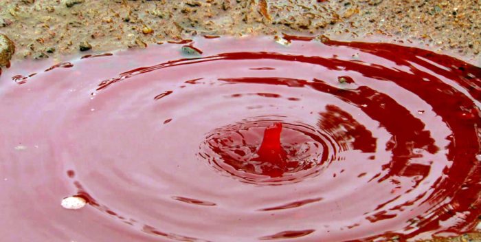Blood red rain pool