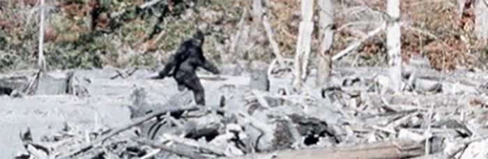 Bigfoot?