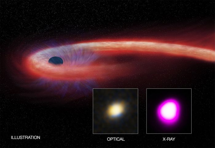 Artist illustration depicting the record breaking “tidal disruption event” (TDE). The red shows hotter material that falls toward the black hole and generates a distinct X-ray flare. The blue shows a wind blowing from the infalling material. Credit: CXC/M. Weiss; X-ray: NASA/CXC/UNH/D. Lin et al, Optical: CFHT.