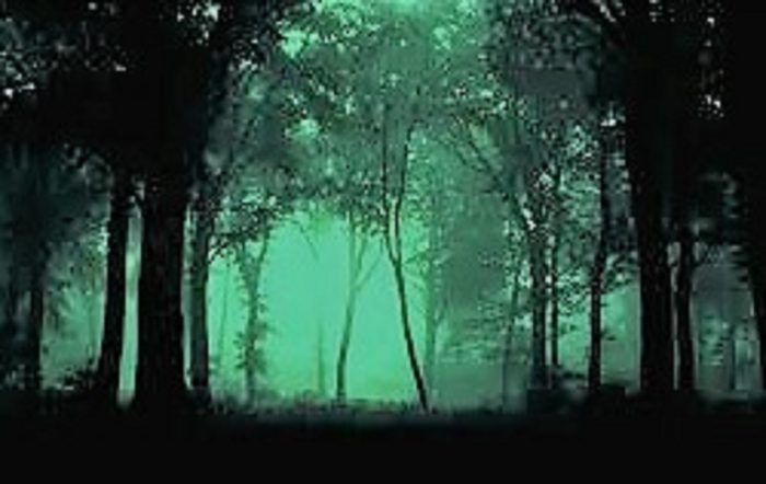 A depiction of strange green glow in the woods