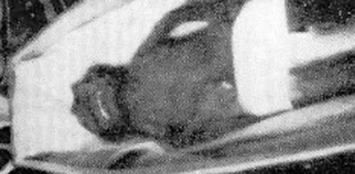 A real picture of the alien "goblin"?
