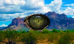 Reptile eye over mountains.