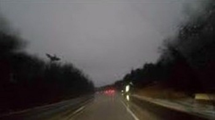 A picture claiming to show the Jersey Devil