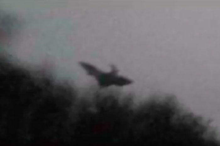 A picture claiming to show the Jersey Devil