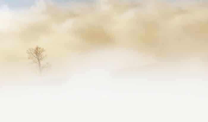 A picture of a white mist