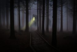 Fog Cabin