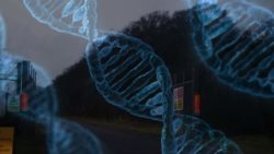 DNA