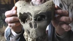 Caucasus Skull