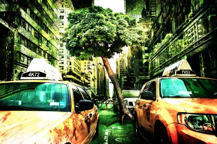 Post-human world with trees and vegetation growing over streets and abandoned cars