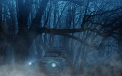 Abandoned Car