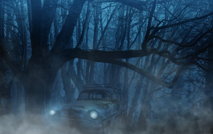 A picture of an abandoned car in a dark forest