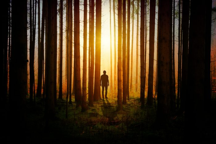 A person of a person stood in a dark forest