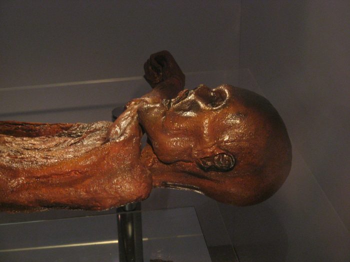 The Otzi Mummy on display