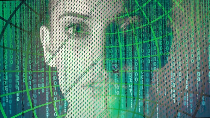 A picture of a woman looking out of a digital computer screen