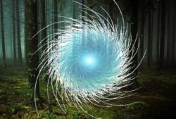 Copley Woods Orb