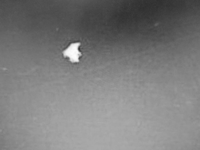 A picture of a strange object discovered on one of the hikers cameras