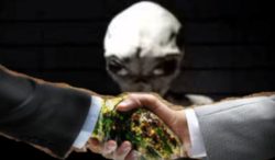 Grey Alien Agenda