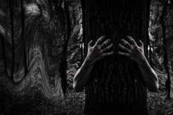 The Dark