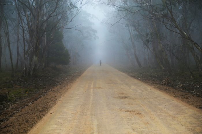 A lonely path in the forest with a figure far in the distance