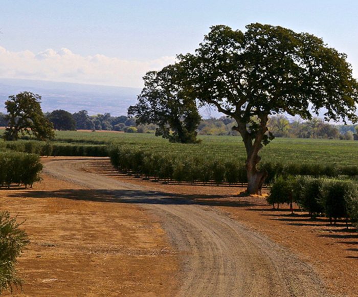 Red Bluff Corning California