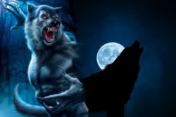 Shapeshifter Werewolf