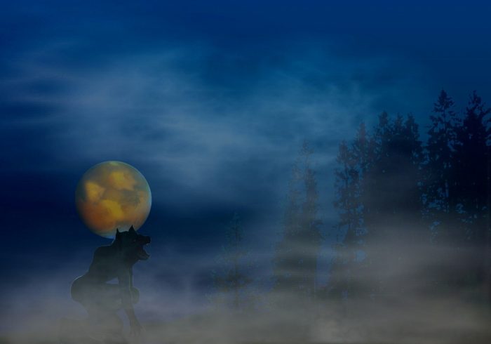 A picture of a werewolf howling at the moon