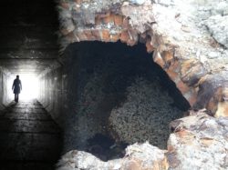 Tampa Tunnels