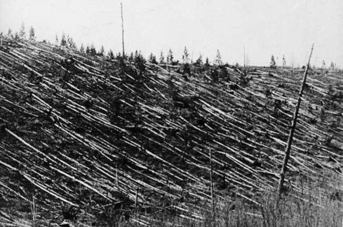 The flattened trees of the Tunguska region