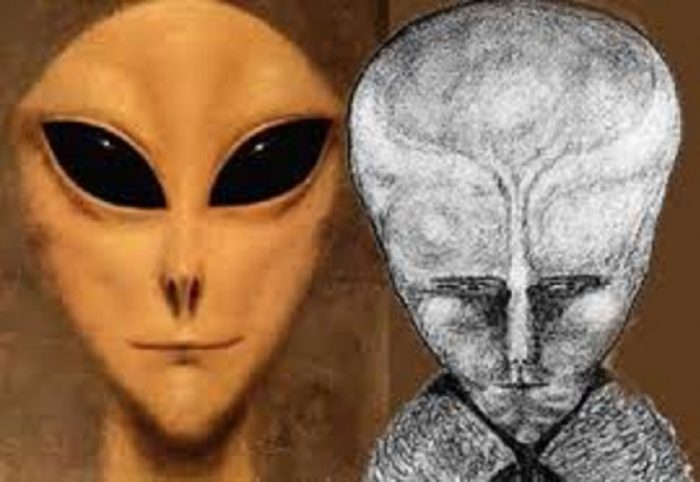 A depiction of a grey alien compared to a sketch of Lam