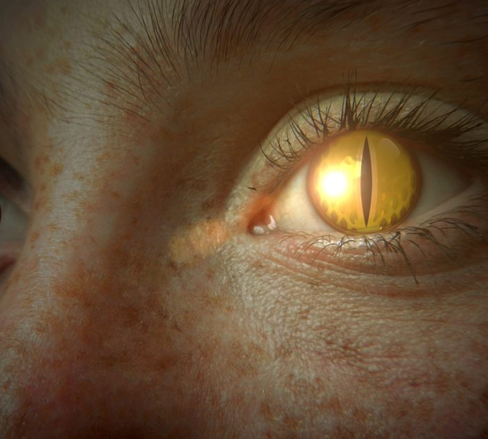 A close-up of a reptilian eye 