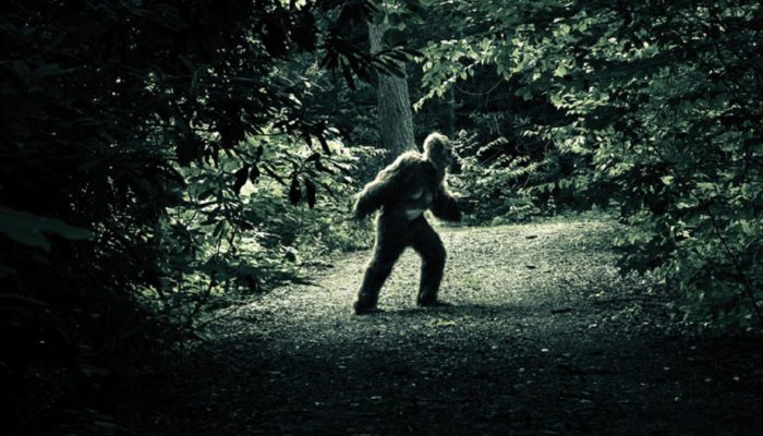 A depiction of a Bigfoot creature in the woods