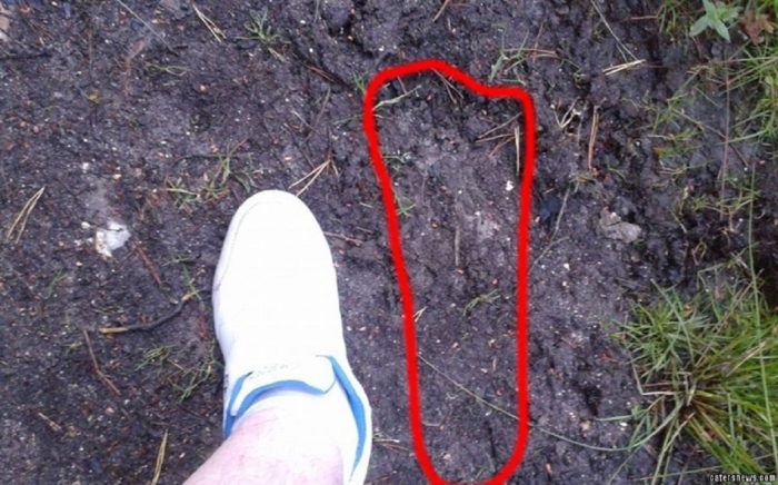 A picture showing a Bigfoot footprint