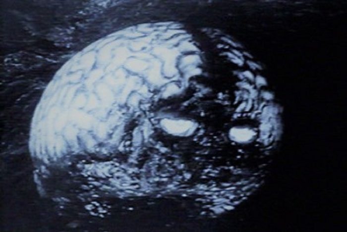 Depiction of the "space brains" 