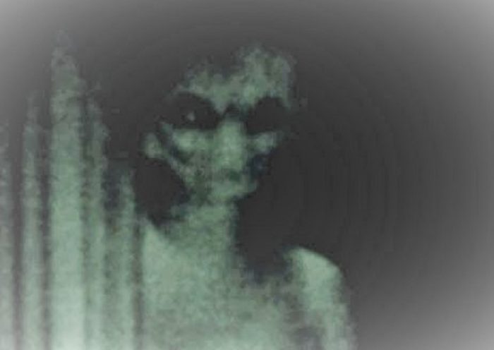 A picture claiming to show an alien being