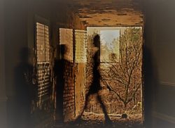 Shadow People Entities