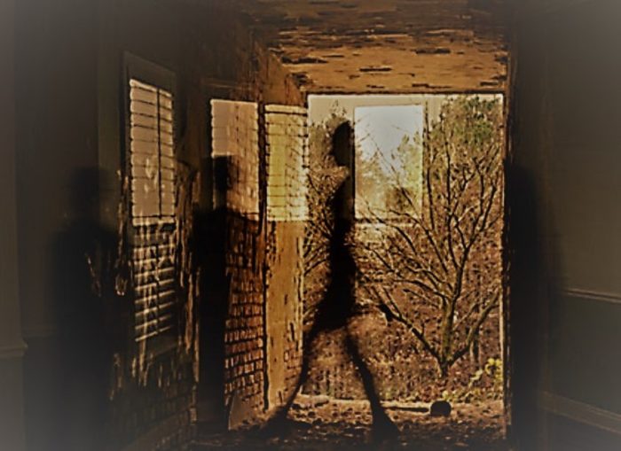 Depiction of Shadow People Entities