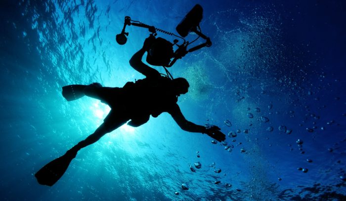 The dark shape of an underwater diver swimming under the water