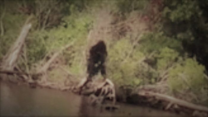 Does this image show a Bigfoot in Virginia?