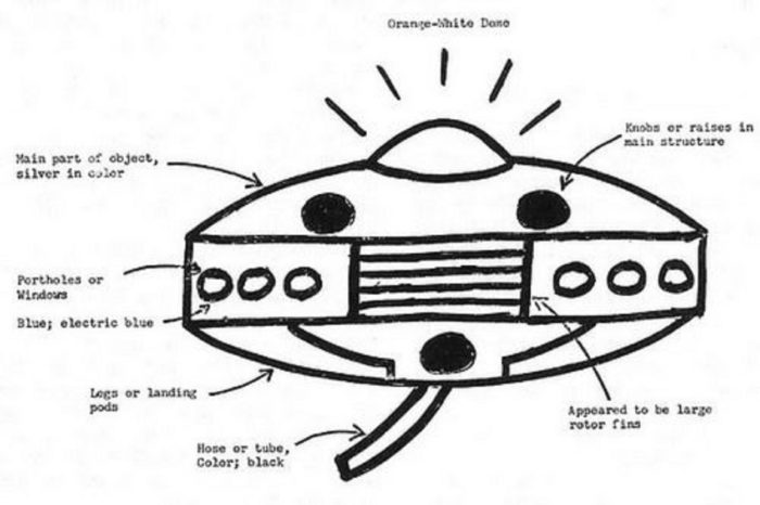 Artist sketch of the craft seen by Wheeler