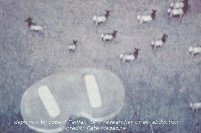 Depiction of a UFO targeting elk